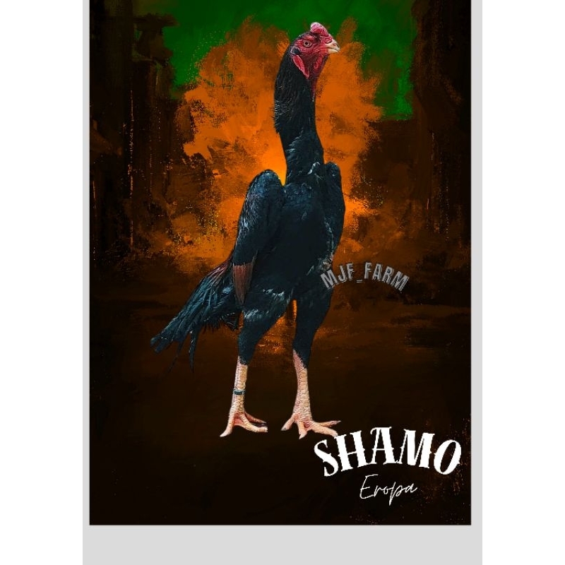 TELUR ayam Shamo Eropa Ori telur fertil(TERLARIS)