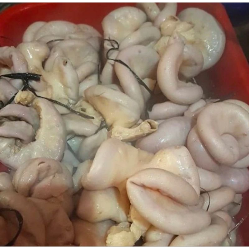 

iso usus sapi - 500 Gram