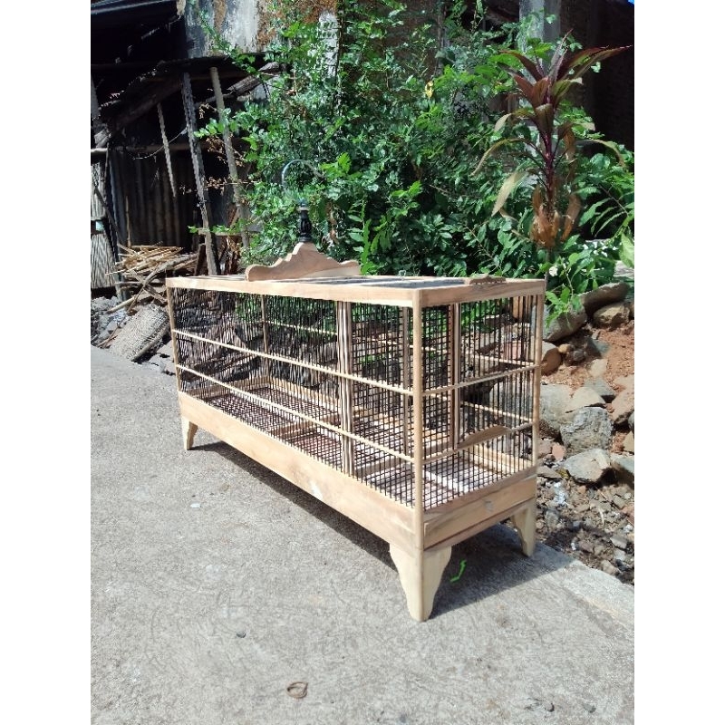 umbaran minimalis untuk burung kecil