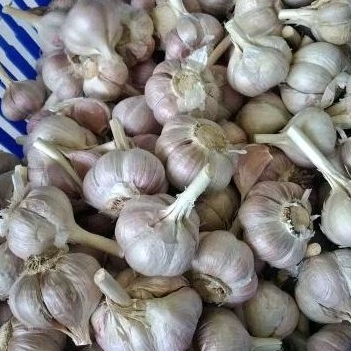 

BAWANGKATINGPROMO1KG