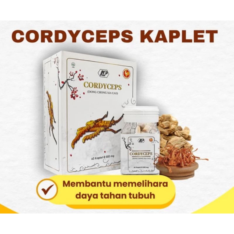 

冬虫夏草片 CORDYCEPS KAPLET 60'S DONG CHONG XIA CAO PIAN