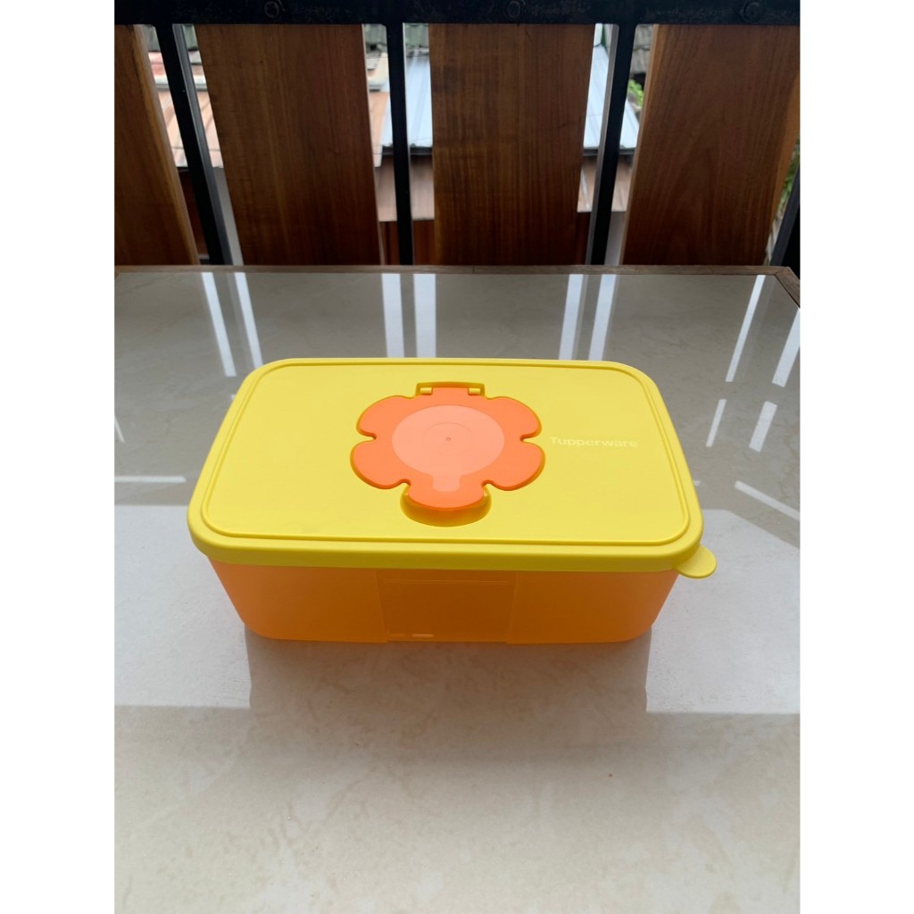 Tupperware Tissue Box Set