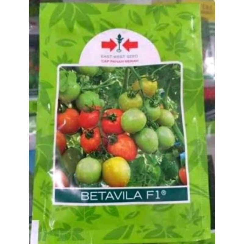 benih tomat betavila F1