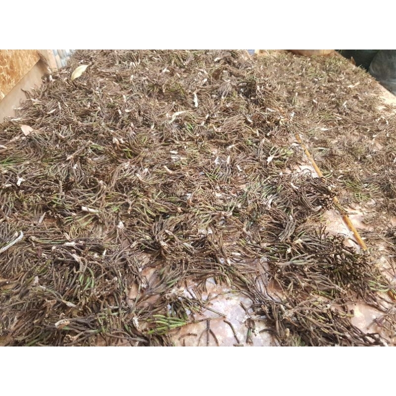 

cengkeh gagang cengkeh kering 100% original