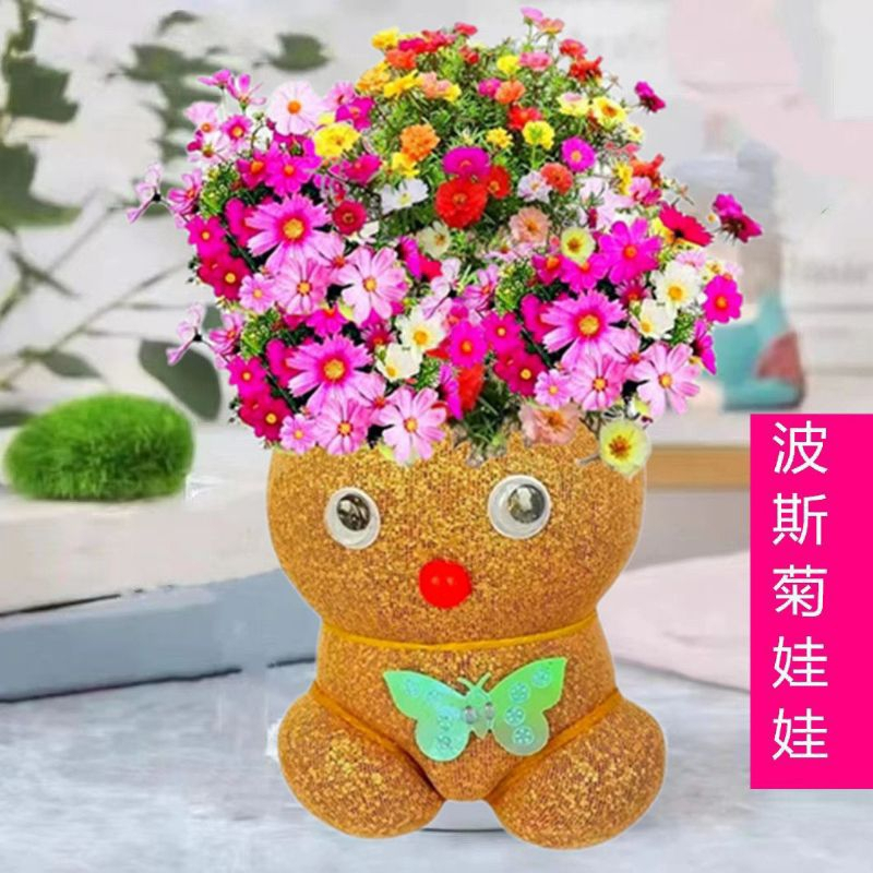 Horta Bunga Boneka Bunga Horta Horta Mini Mainan Edukasi Boneka Mainan Unik Horta Tanaman Hias