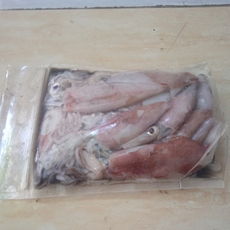 

Cumi-cumi pelabuhan jongor tegal alamat jl palaraya mejasem Barat Tegal 0881012308808