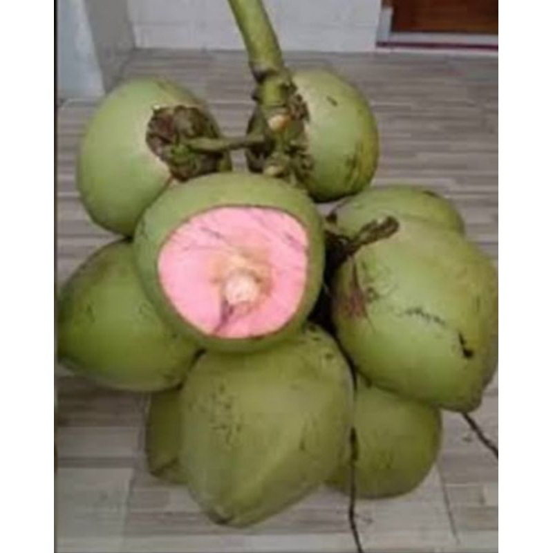 

Kelapa Wulung Asli Pak Ming - Utuh/bijian