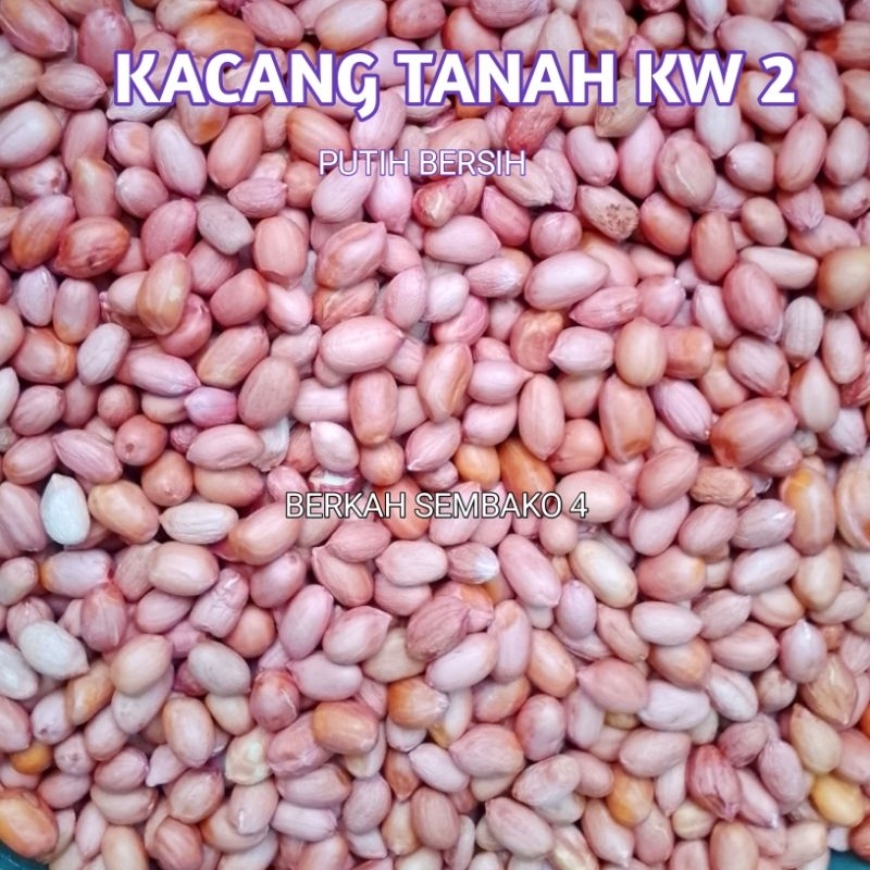 

Kacang tanah 250g kw2