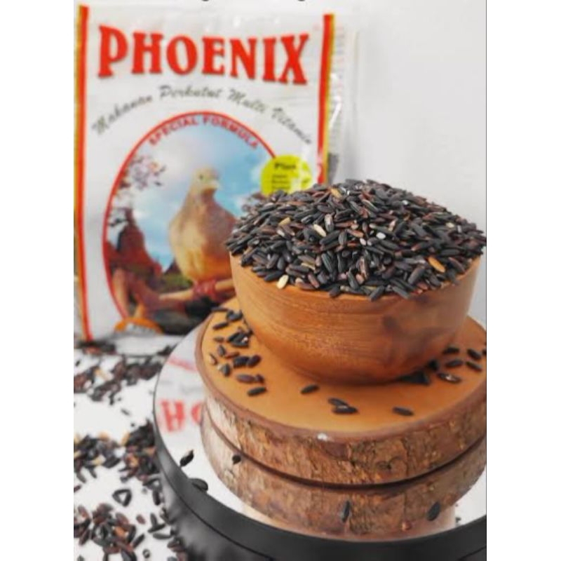 Pakan burung phoenix ketan hitam
