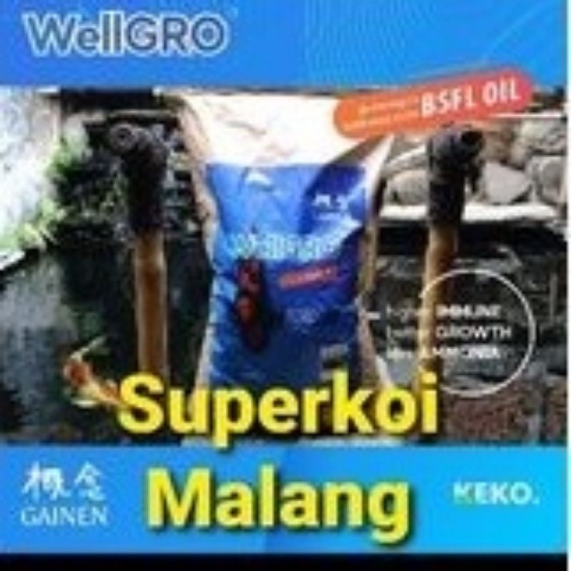 Wellgrow Koi Gainen 15 KG Pakan Ikan Pelet Wellgro Pertumbuhan Growth