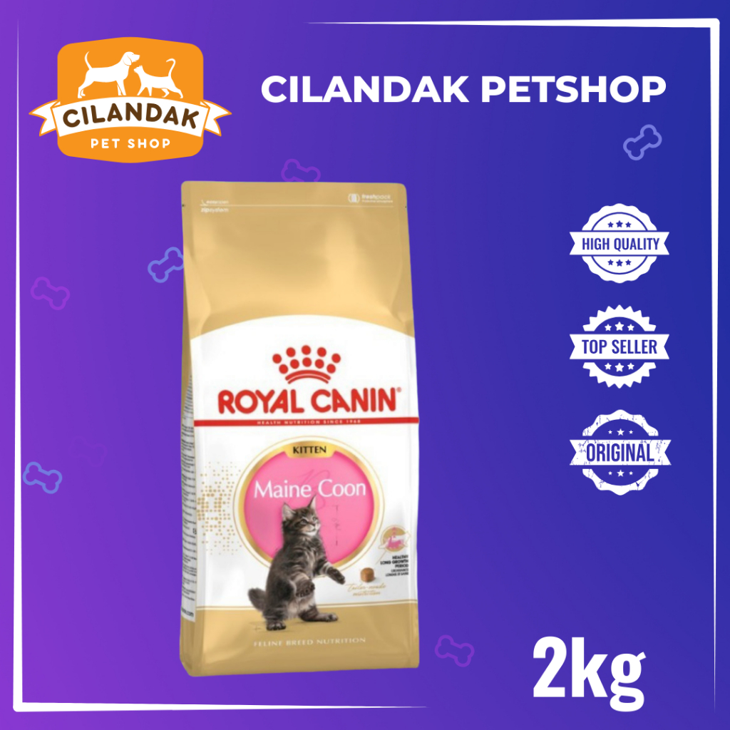 Royal Canin Maine Coon Kitten 2kg