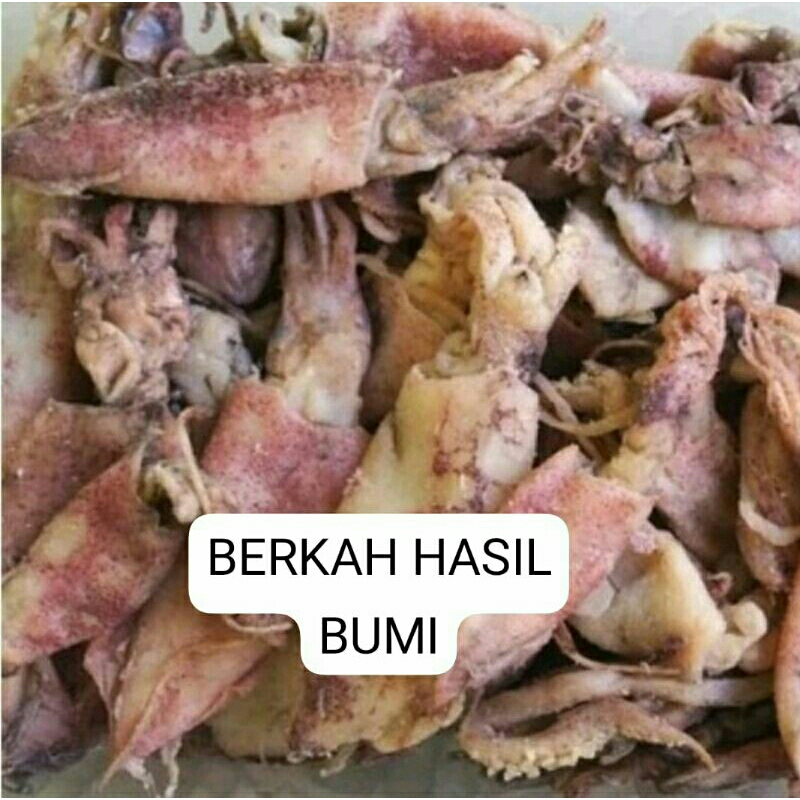 

OBRAL MURAH!!!1kg BEBY CUMI ASIN KERING FRES PREMIUM