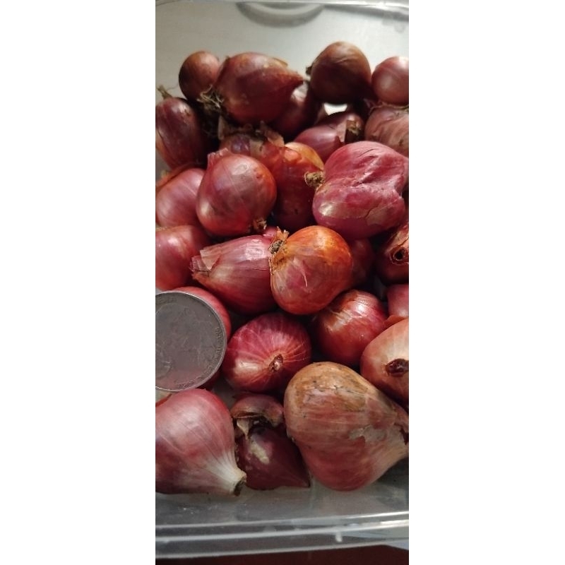 

bawang merah 35.000/ 2kg