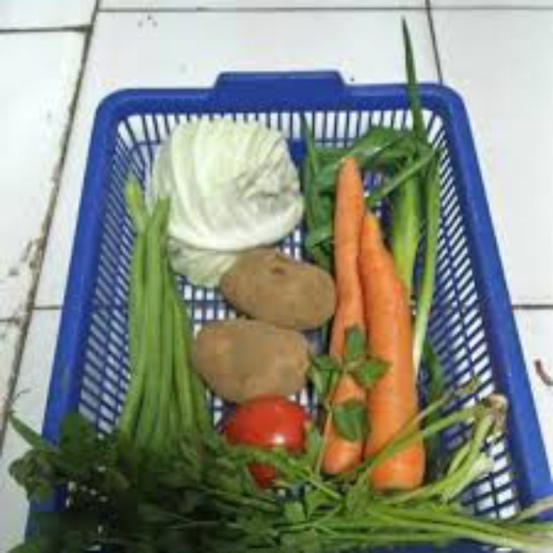 

bahan sayur sop 500gram