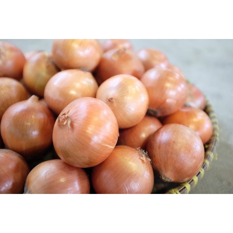 

Bawang bombay fresh 1kg