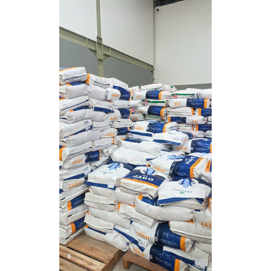 Bibit Jagung Jago (Advanta Seed)