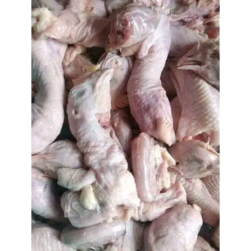 

Kepala_Ayam_Jumbo