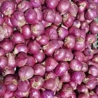 

BAWANG MERAH 500gr