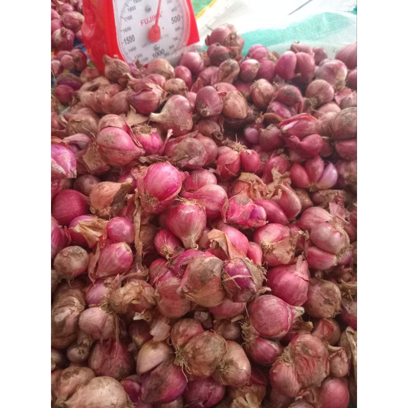 

BAWANG MERAH ASLI NGANJUK UKURAN SEDANG KECIL CAMPUR KUALITAS OKE TERMURAH