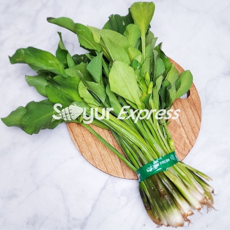 

INSTAN Daun Genjer 1 ikat segar