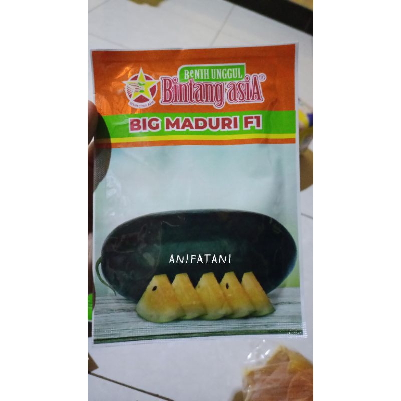 benih semangka Inul BIG MADURI F1