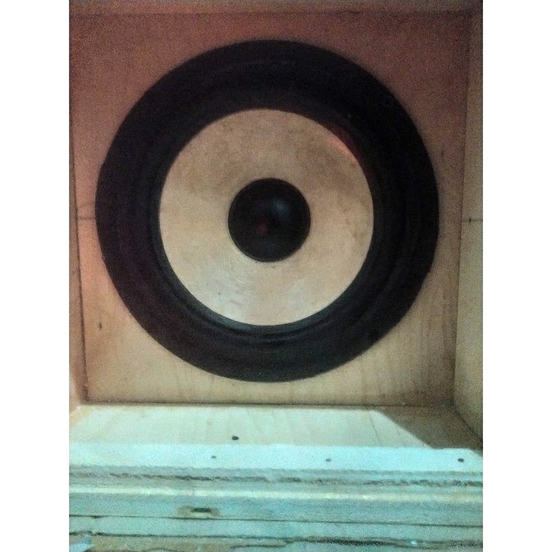 speaker polytron 8 inch