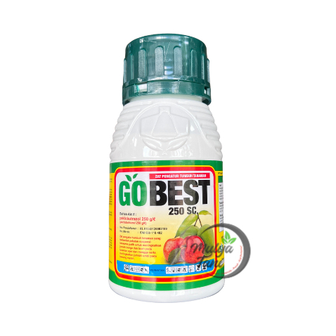 Gobest Go Best 250SC 250ML Zat Pengatur Tumbuh Paklobutrazol Original
