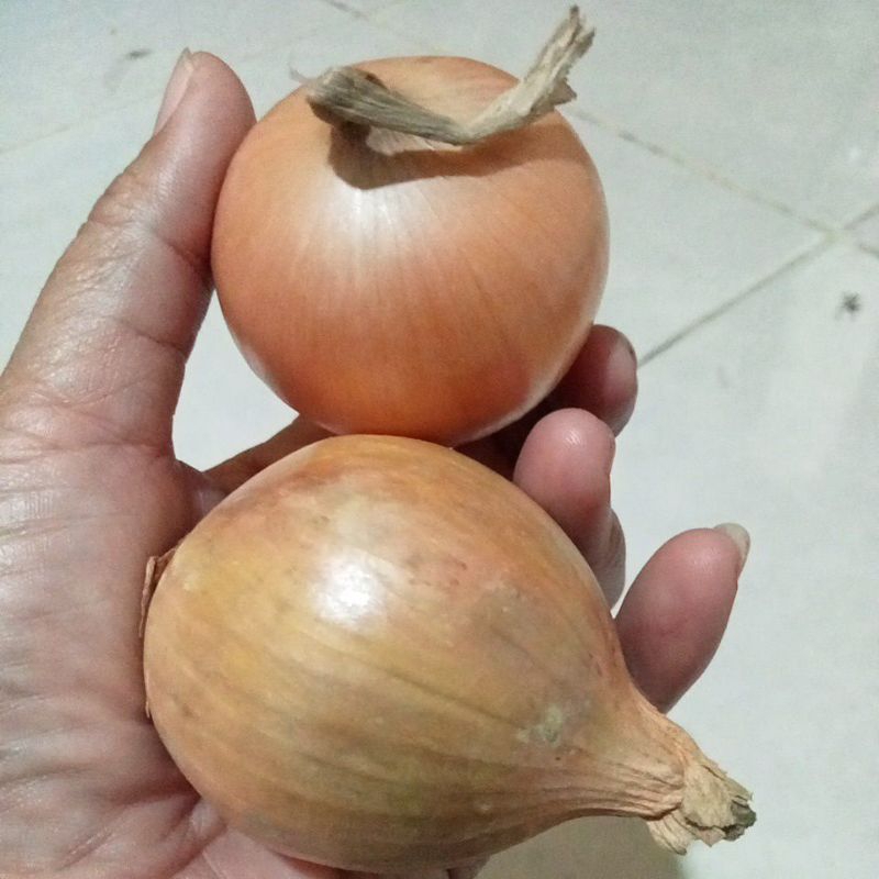 

bawang bombaay