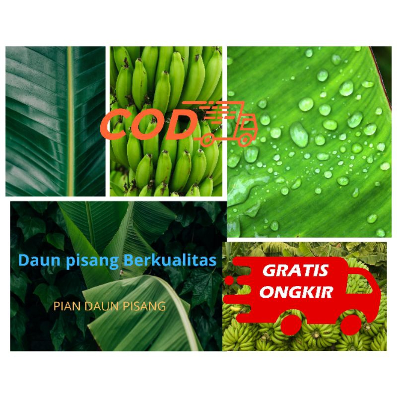 

Daun pisang segar