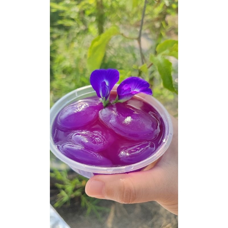 

TaKaLiang | makanan sehat | manisan kolangkaling | pewarna alami | bunga telang | kaya manfaat | antioksidan | edible flowers