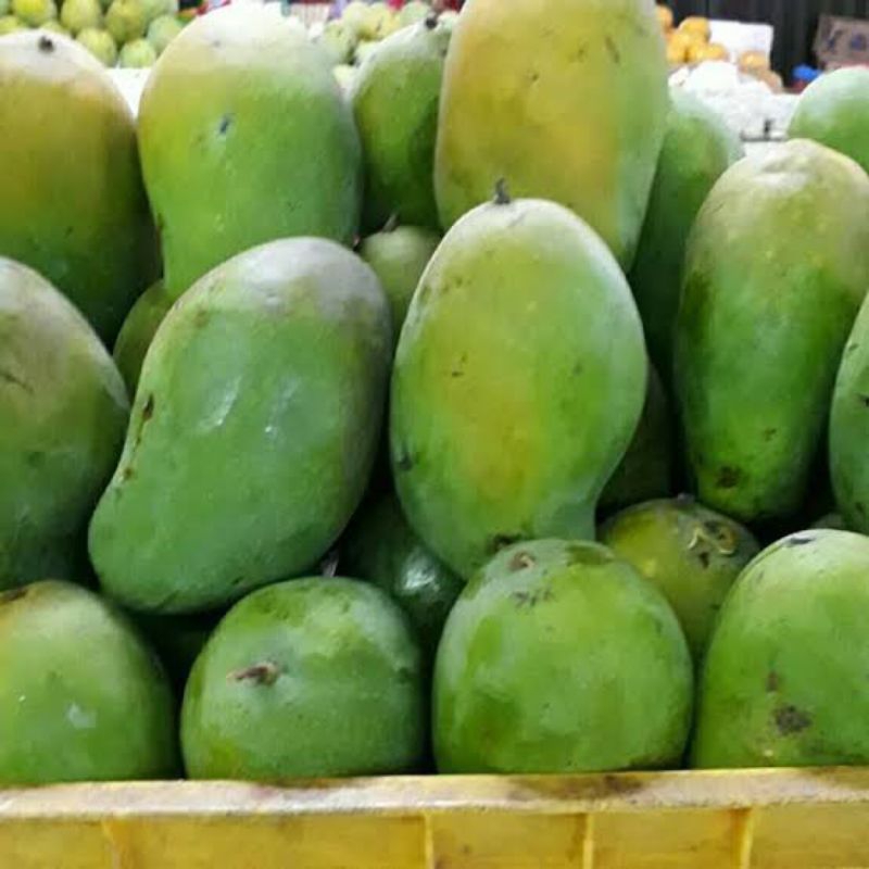 

Mangga Harum Manis Fresh