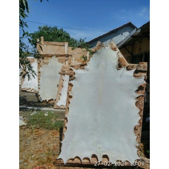KODE N25K kulit kambing kulit lembaran bahan rebana hadroh kulit jumbo bedug kulit kambing rebana ku