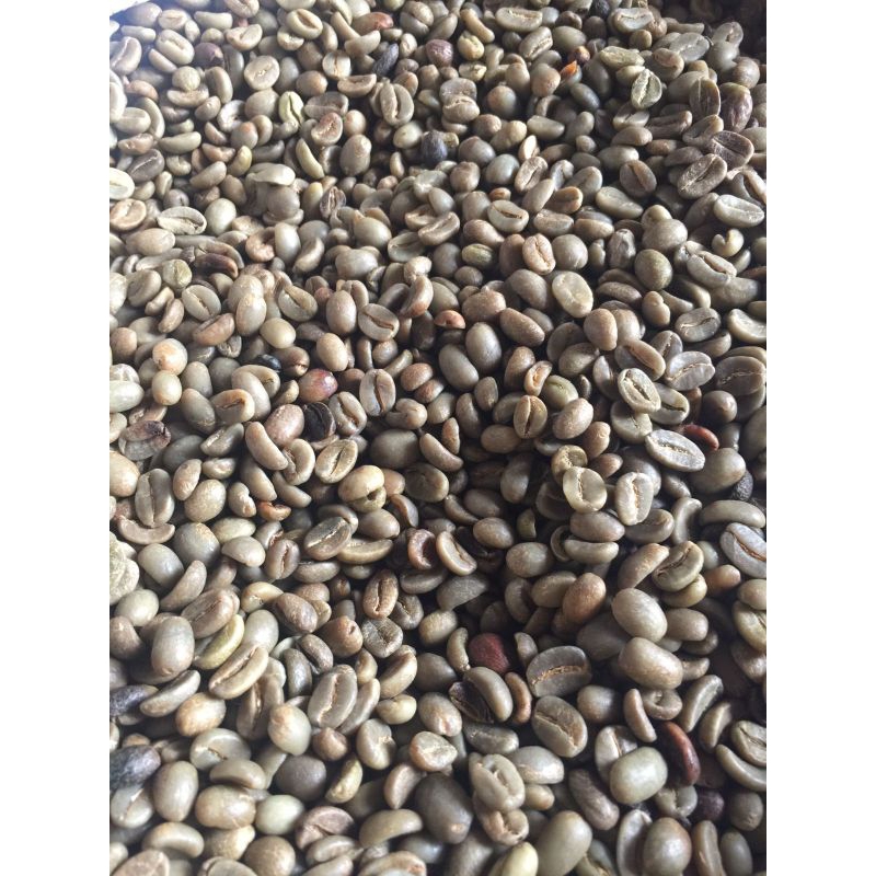 

Biji Kopi Mentah Greenbean Arabika 1kg - Grade 2