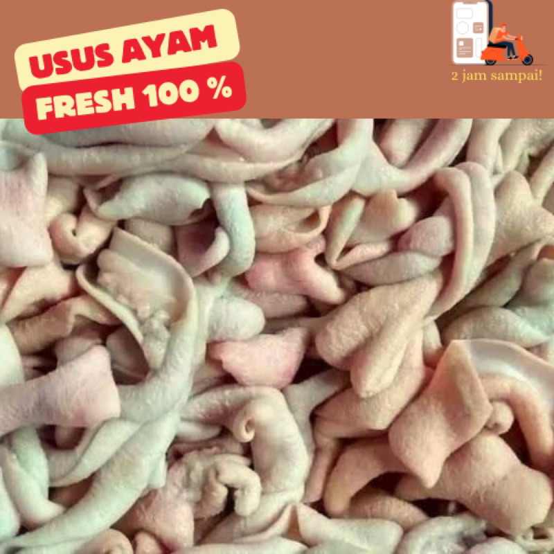 

Usus Ayam Jeroan Fresh 500 gram KIRIM INSTAN BANDUNG