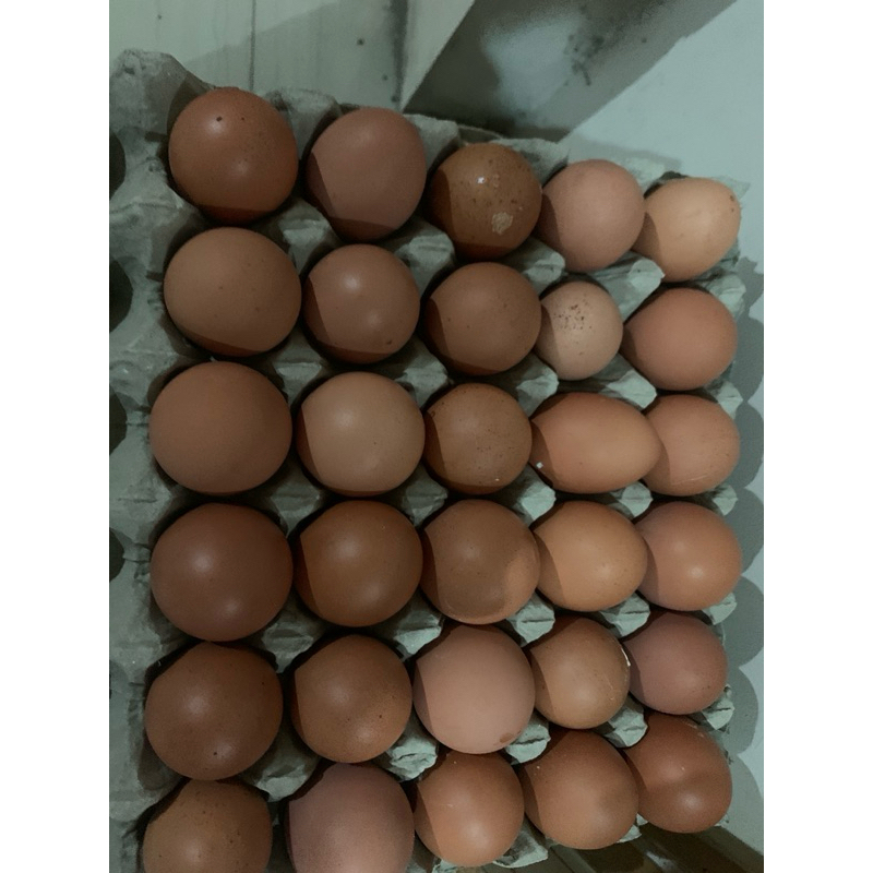 

Telur ayam negeri negri negeri / 30 butir