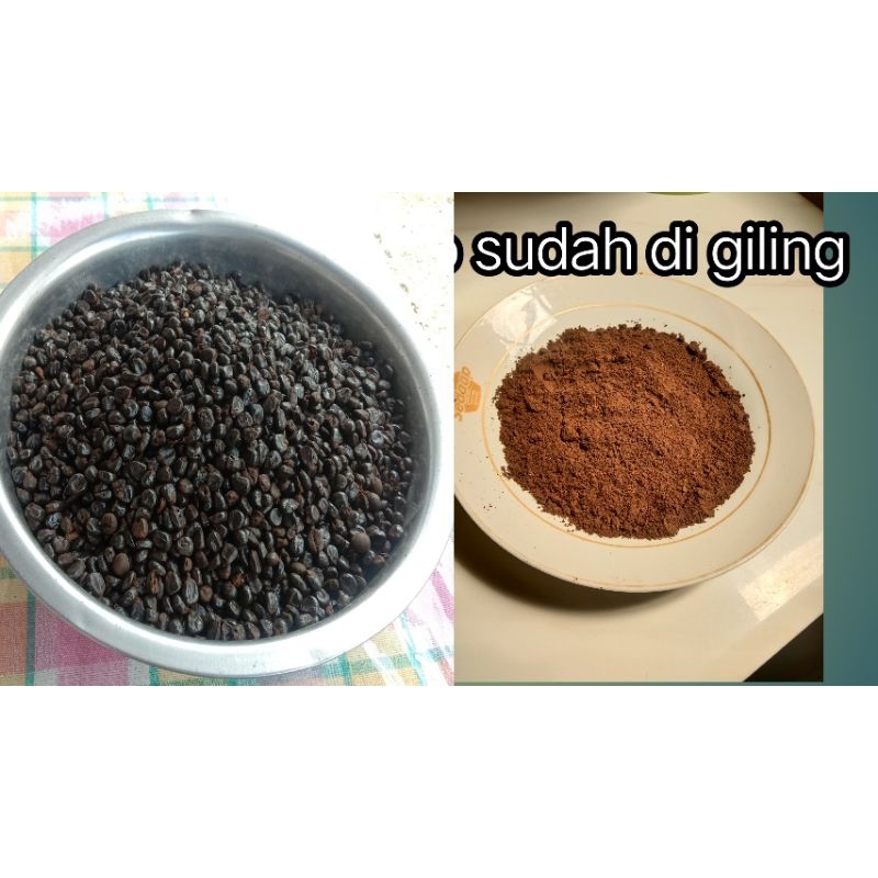 

Jagung Roasting /Jagung sangrai 500g