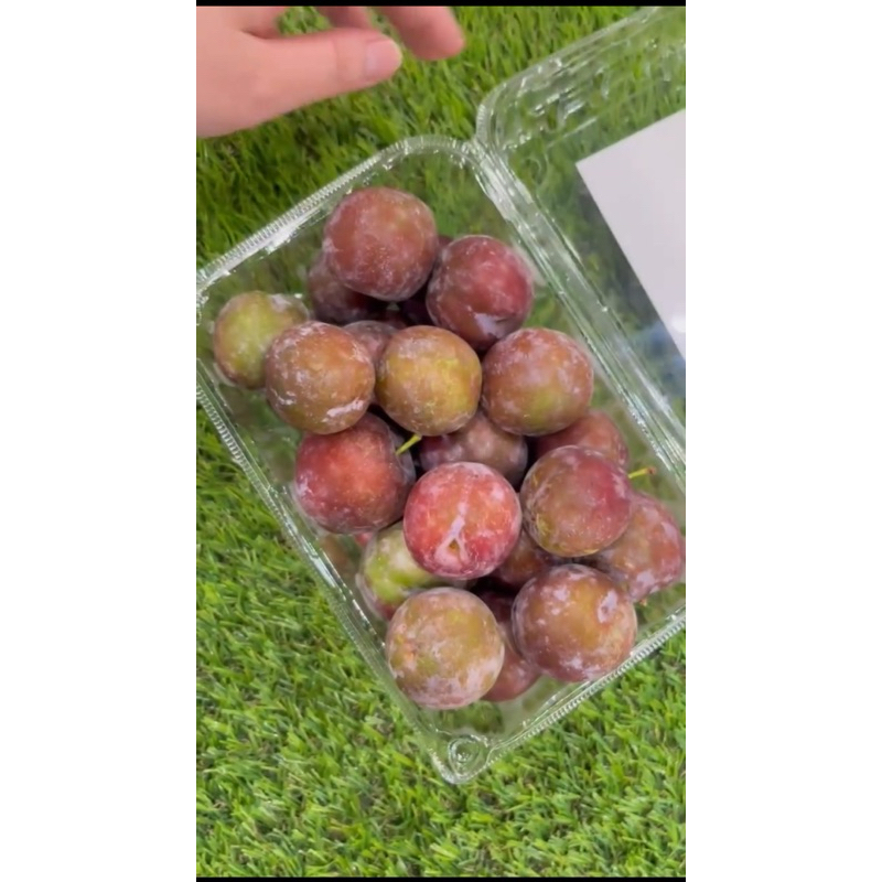 

Honey Red Plum Perpack 750gr