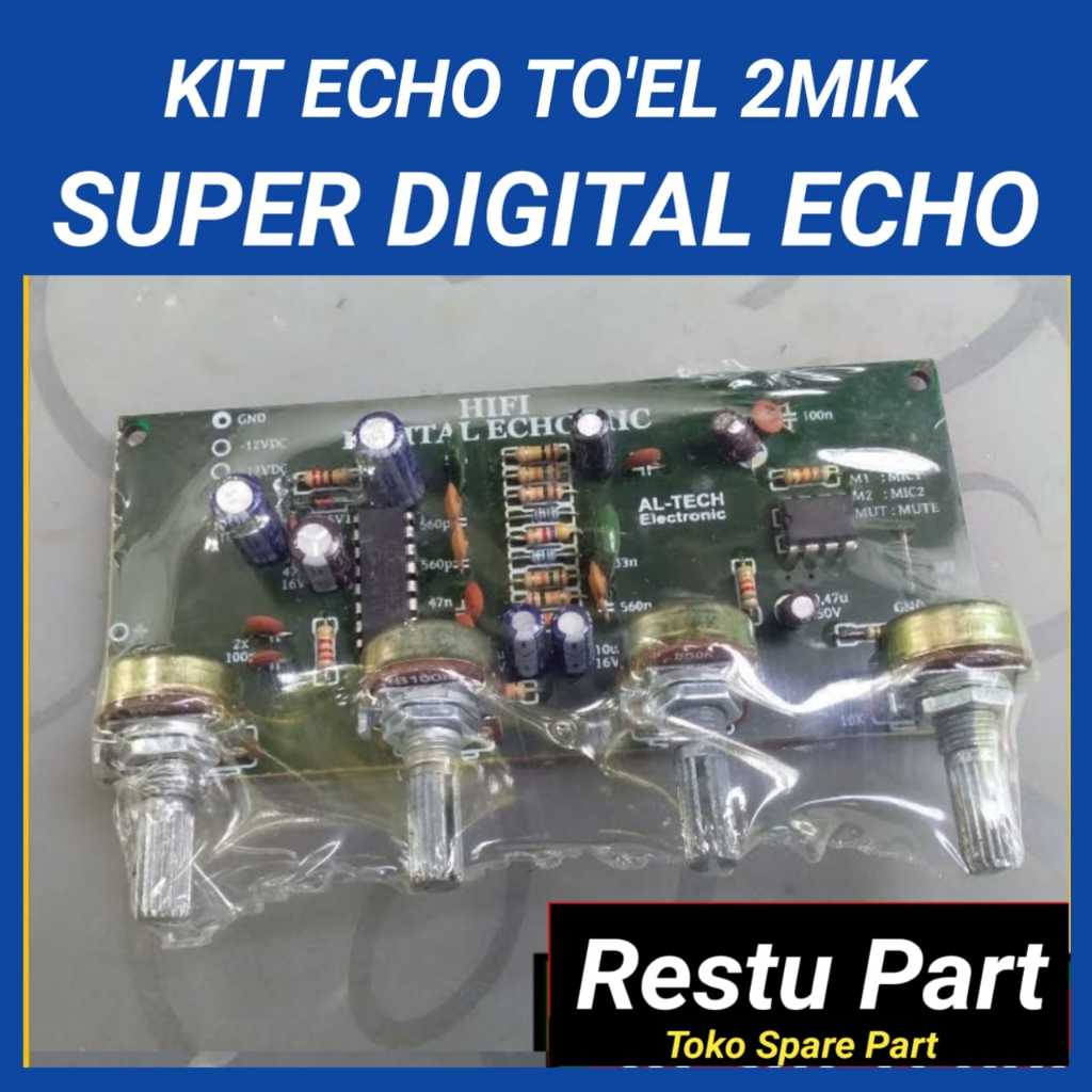 Super Digital Echo To'el 2Mic Low Noise Original