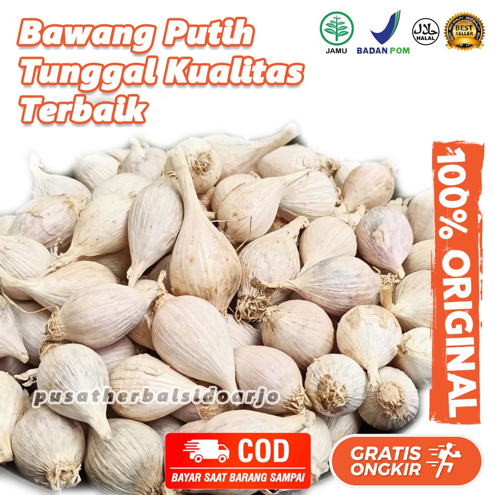 

100gr Bawang Putih Tunggal Lokal / Bawang Lanang Lokal / Panen Lokal