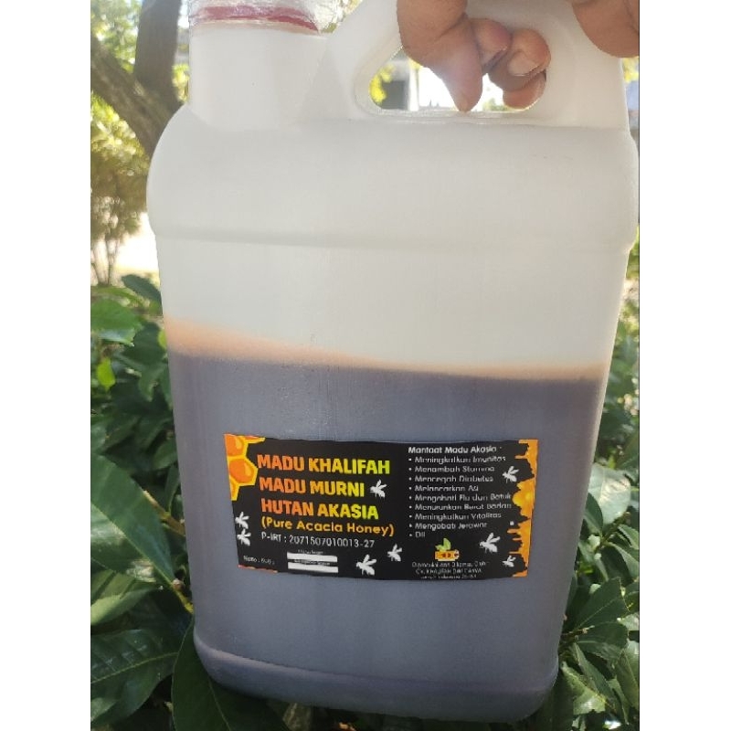 

madu akasia khalifah sumatra 5kg madu asli murni 100% madu honey