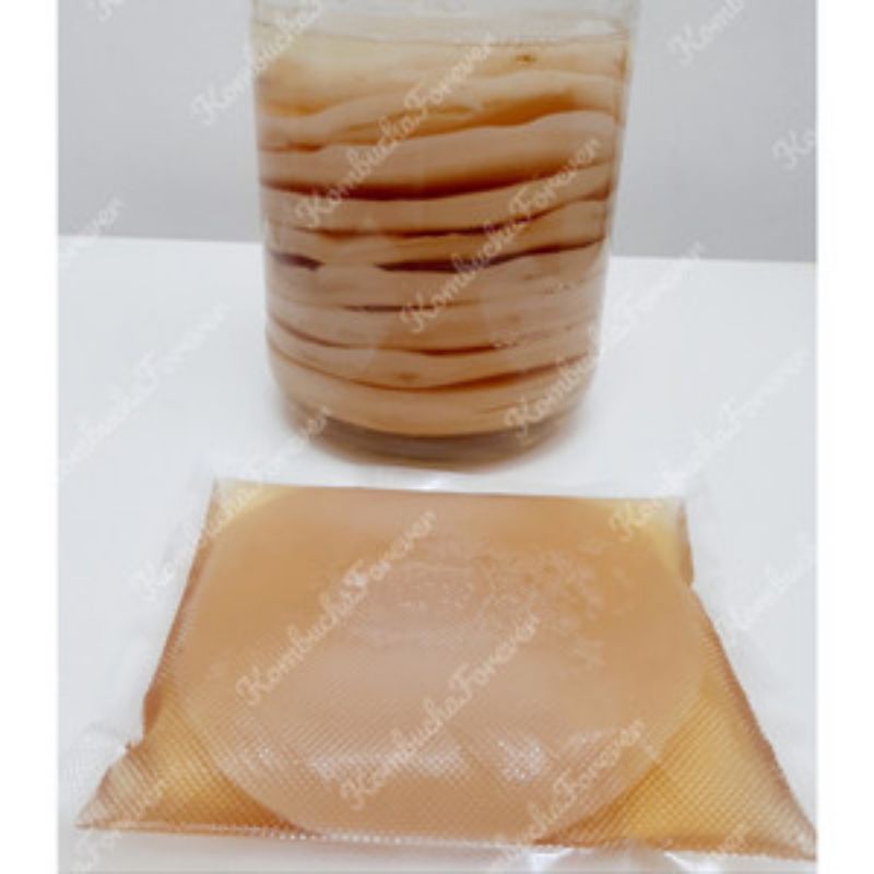 

SCOBY & KOMBUCHA paket starter 1l (scoby, air starter 250ml, teh tubruk, gula)