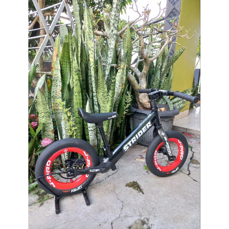 frame guard special request strider pro