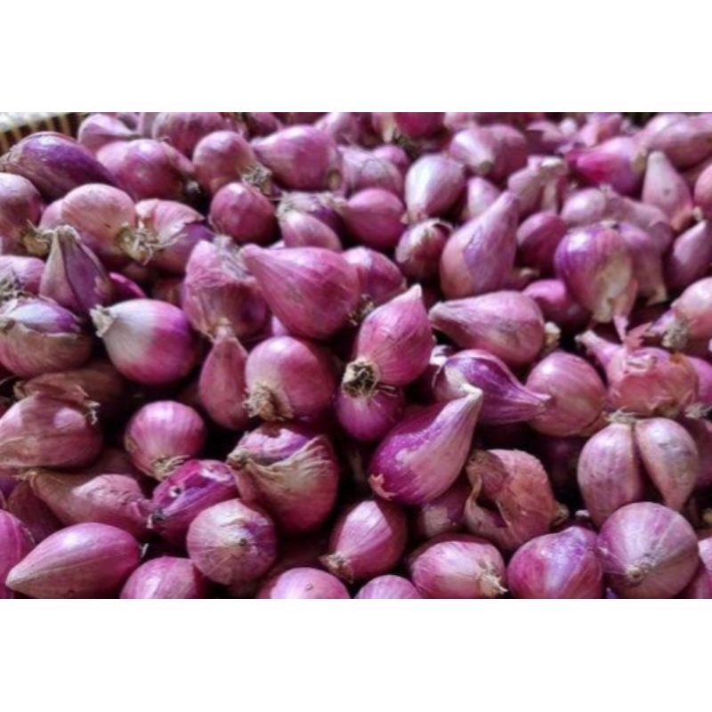 

Bawang Merah 1kg