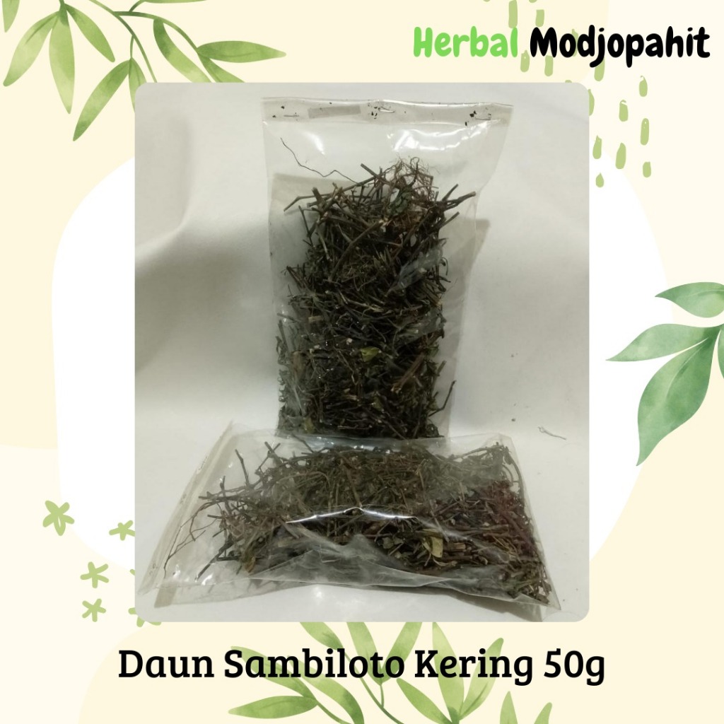 

Herbal Kering Modjopahet Daun Sambiloto 50gr