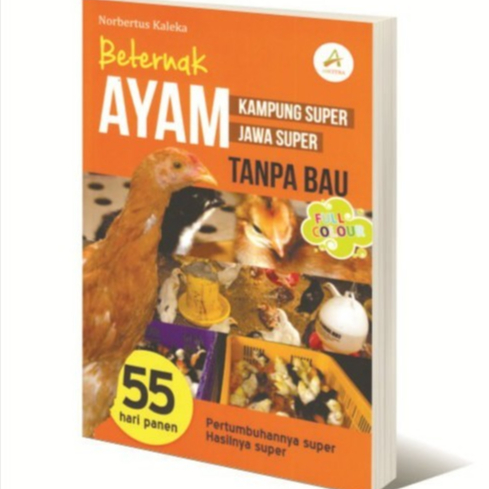 TERMURAH BETERNAK AYAM KAMPUNG SUPER AYAM JAWA SUPER TANPA BAU - NORBERTUS KALEKA
