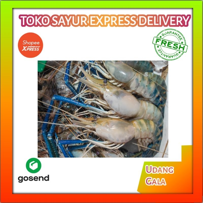 

Udang Galah - Sayur Mayur Segar Online Palembang