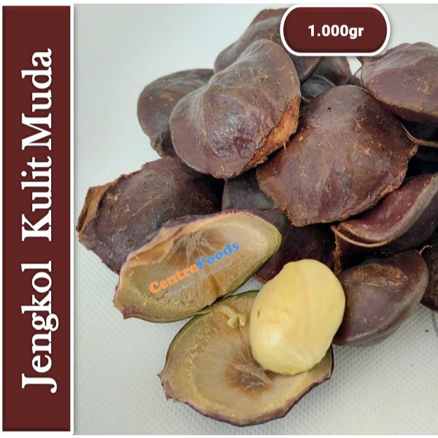 

Jengkol Kulit Muda - Mentah Fresh | 1.000gr [ Harga Per KG ]