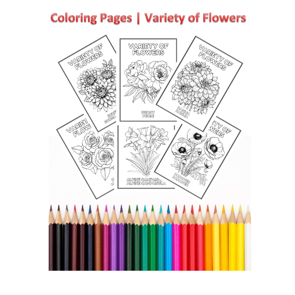 

MURAH ! Coloring Pages / Variety of Flowers / Mewarnai Bunga / Lembar Mewarnai /Kertas Mewarnai