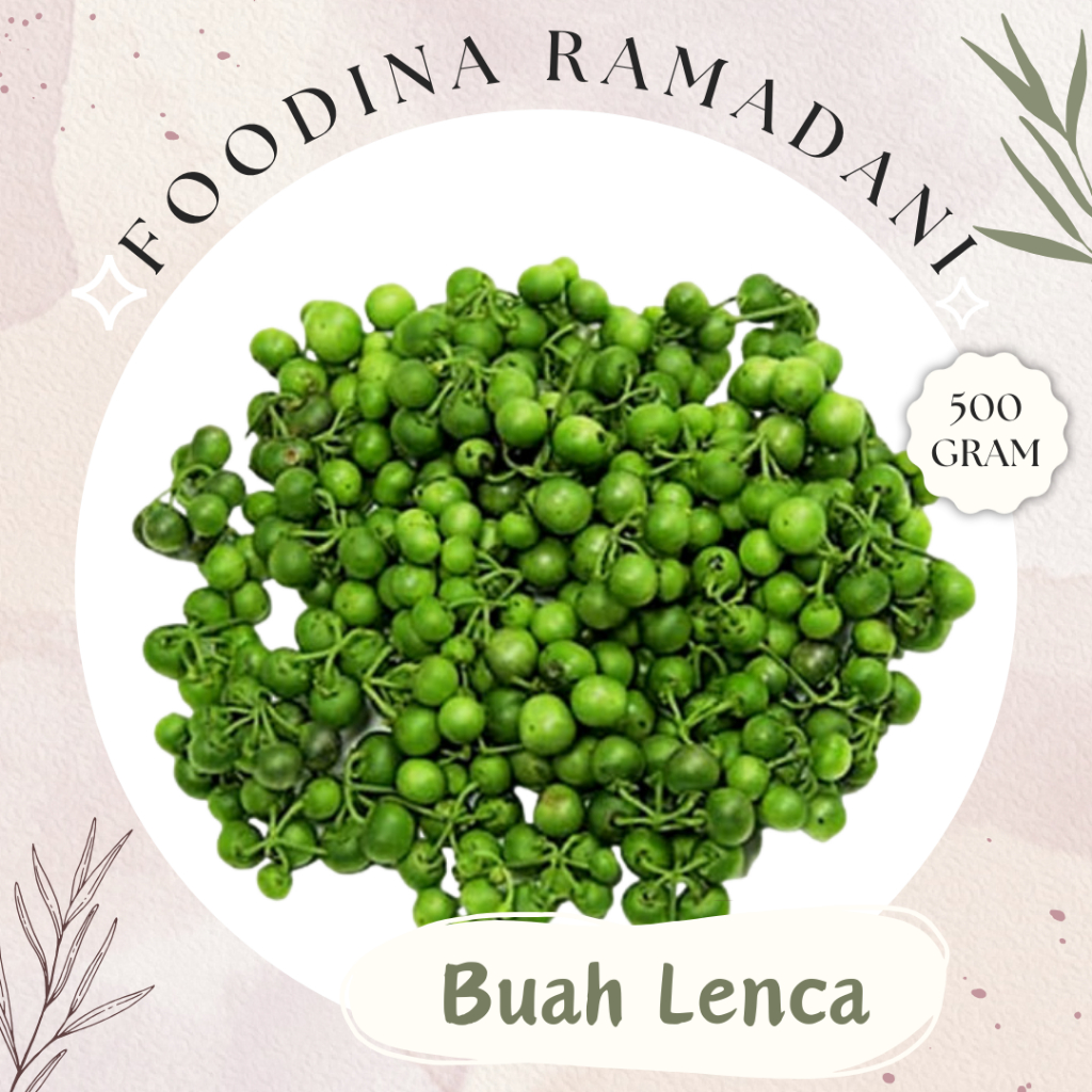 

BUAH LENCA Sayur - Leunca Fruit Fresh [ Berat 500gr ] Harga Per 0,5 Kg