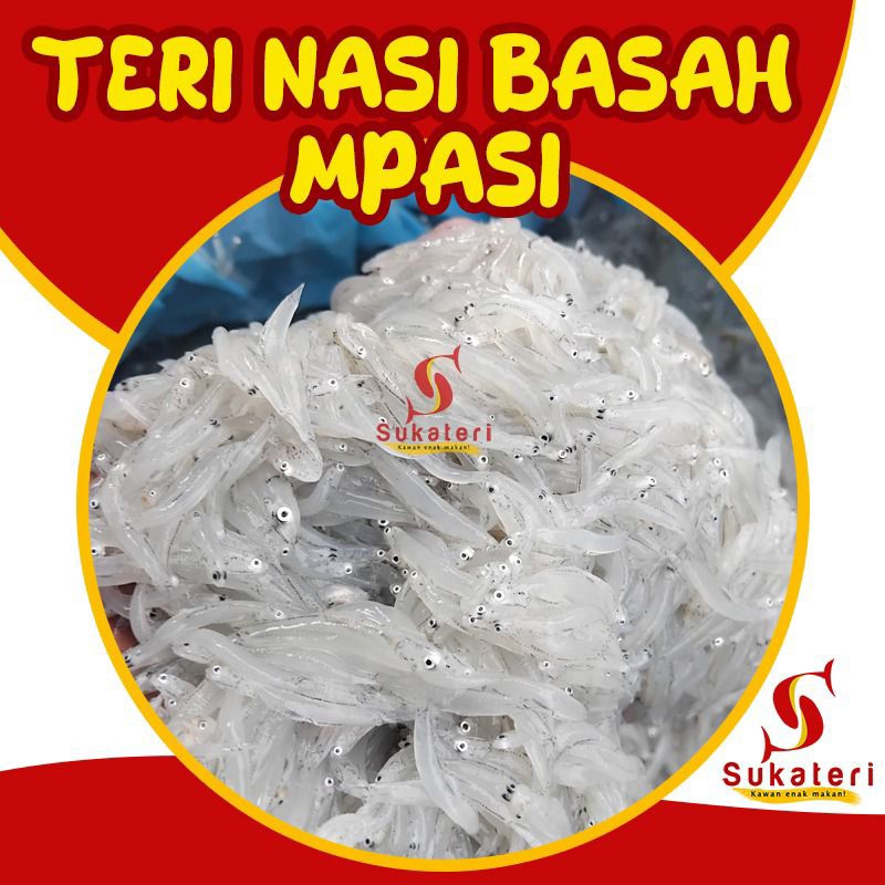 

Teri Nasi Basah MPASI / Segar 250 gram ( Fresh) di Medan (dipack kecil kecil)